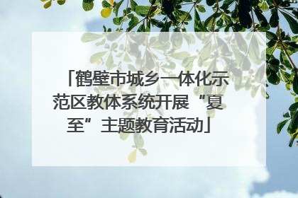 鹤壁市城乡一体化示范区教体系统开展“夏至”主题教育活动