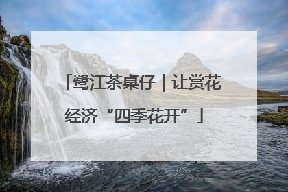 鹭江茶桌仔｜让赏花经济“四季花开”