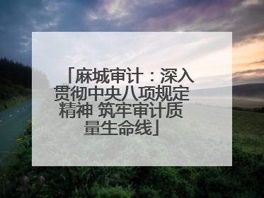 麻城审计：深入贯彻中央八项规定精神 筑牢审计质量生命线