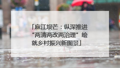 麻江坝芒：纵深推进“两清两改两治理”绘就乡村振兴新图景