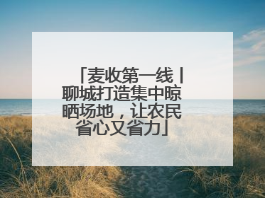 麦收第一线丨聊城打造集中晾晒场地，让农民省心又省力