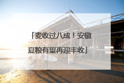 麦收过八成！安徽夏粮有望再迎丰收