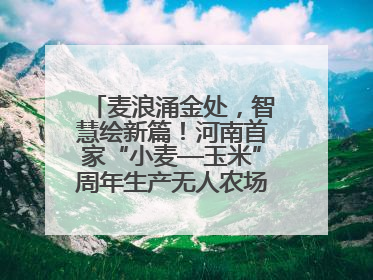 麦浪涌金处，智慧绘新篇！河南首家“小麦—玉米”周年生产无人农场喜迎丰收