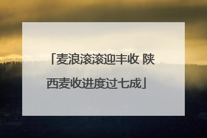 麦浪滚滚迎丰收 陕西麦收进度过七成