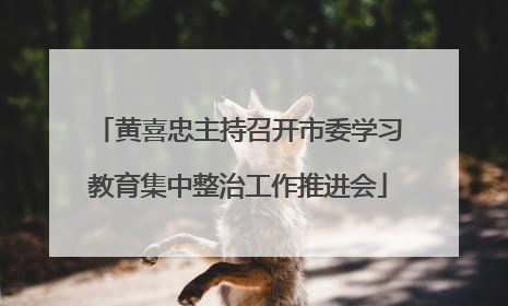 黄喜忠主持召开市委学习教育集中整治工作推进会