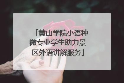 黄山学院小语种微专业学生助力景区外语讲解服务