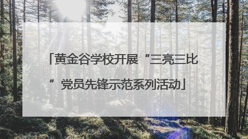 黄金谷学校开展“三亮三比”党员先锋示范系列活动