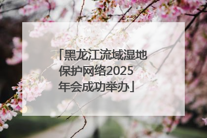 黑龙江流域湿地保护网络2025年会成功举办