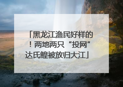 黑龙江渔民好样的！两地两只“投网”达氏鳇被放归大江