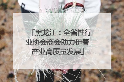 黑龙江：全省性行业协会商会助力伊春产业高质量发展