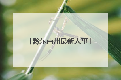 黔东南州最新人事