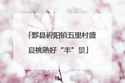 黟县碧阳镇五里村盛夏桃熟好“丰”景