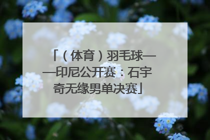 （体育）羽毛球——印尼公开赛：石宇奇无缘男单决赛