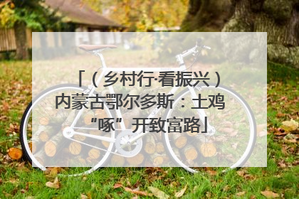 （乡村行·看振兴）内蒙古鄂尔多斯：土鸡“啄”开致富路