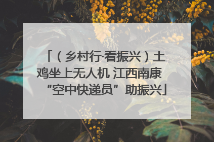（乡村行·看振兴）土鸡坐上无人机 江西南康“空中快递员”助振兴