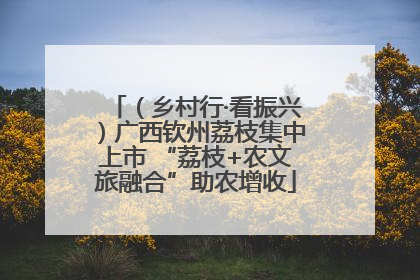 （乡村行·看振兴）广西钦州荔枝集中上市 “荔枝+农文旅融合”助农增收