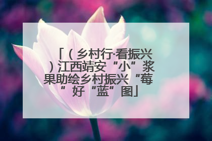 （乡村行·看振兴）江西靖安“小”浆果助绘乡村振兴“莓”好“蓝”图