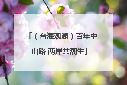 （台海观澜）百年中山路 两岸共潮生