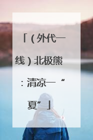 （外代一线）北极熊：清凉一“夏”