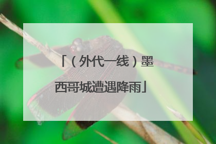 （外代一线）墨西哥城遭遇降雨