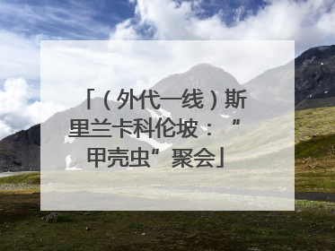 （外代一线）斯里兰卡科伦坡：“甲壳虫”聚会