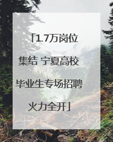 1.7万岗位集结 宁夏高校毕业生专场招聘火力全开