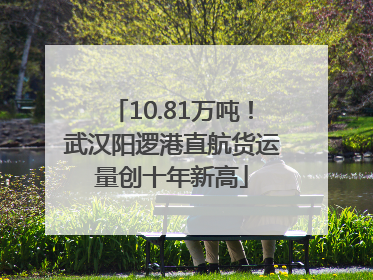 10.81万吨！武汉阳逻港直航货运量创十年新高