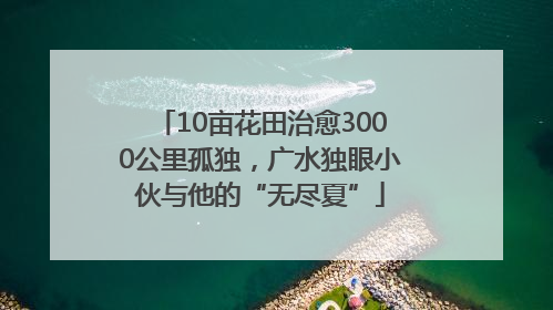 10亩花田治愈3000公里孤独，广水独眼小伙与他的“无尽夏”