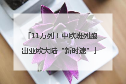 11万列！中欧班列跑出亚欧大陆“新时速”