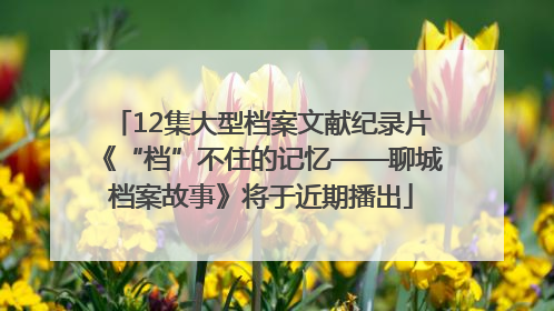 12集大型档案文献纪录片《“档”不住的记忆——聊城档案故事》将于近期播出