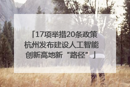 17项举措20条政策 杭州发布建设人工智能创新高地新“路径”