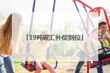 19吨碳汇补偿到位