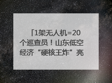 1架无人机=20个巡查员！山东低空经济“硬核王炸”亮相青岛，下一个万亿赛道藏在这里
