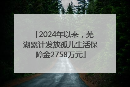 2024年以来，芜湖累计发放孤儿生活保障金2758万元