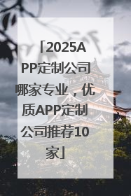 2025APP定制公司哪家专业，优质APP定制公司推荐10家