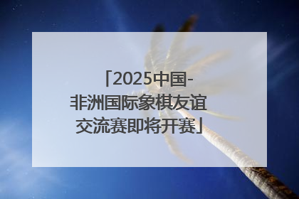 2025中国-非洲国际象棋友谊交流赛即将开赛