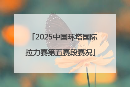 2025中国环塔国际拉力赛第五赛段赛况