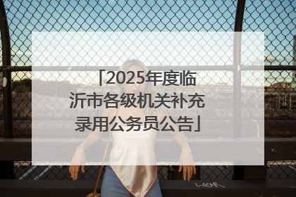 2025年度临沂市各级机关补充录用公务员公告