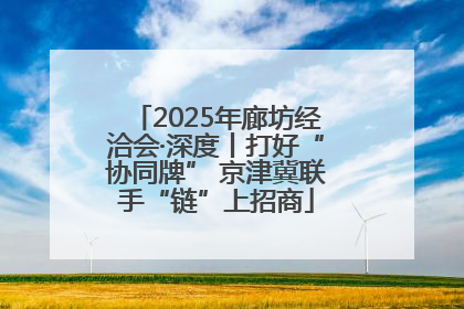 2025年廊坊经洽会·深度丨打好“协同牌” 京津冀联手“链”上招商