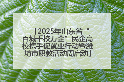 2025年山东省“百城千校万企”民企高校携手促就业行动暨潍坊市职教活动周启动