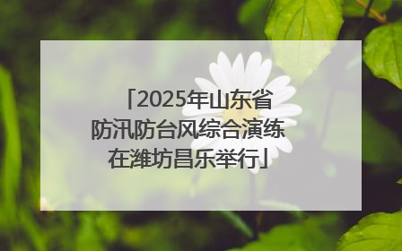 2025年山东省防汛防台风综合演练在潍坊昌乐举行