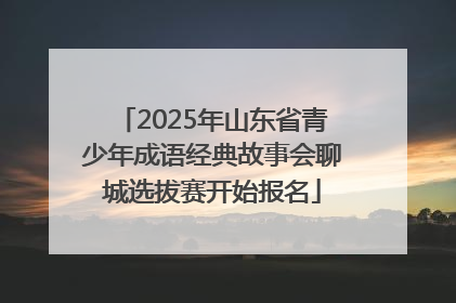 2025年山东省青少年成语经典故事会聊城选拔赛开始报名