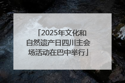 2025年文化和自然遗产日四川主会场活动在巴中举行