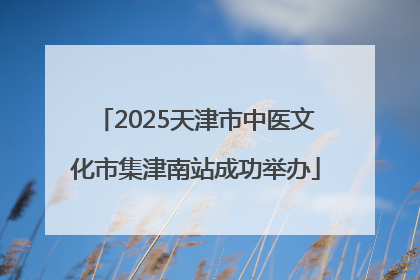2025天津市中医文化市集津南站成功举办