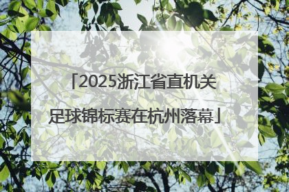 2025浙江省直机关足球锦标赛在杭州落幕