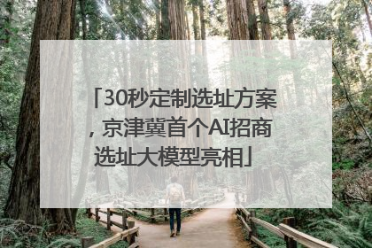30秒定制选址方案，京津冀首个AI招商选址大模型亮相