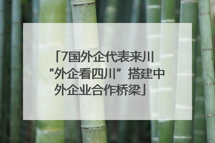 7国外企代表来川 “外企看四川”搭建中外企业合作桥梁