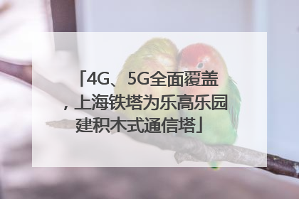 4G、5G全面覆盖，上海铁塔为乐高乐园建积木式通信塔