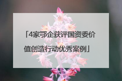 4家鄂企获评国资委价值创造行动优秀案例