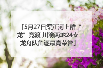 5月27日渠江河上群“龙”竞渡 川渝两地24支龙舟队角逐最高荣誉